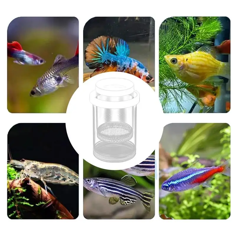 Fish Breeding Box Floating Fish Breeding Isolation Box Aquarium Fish Tank Hatching Incubator Hatching Incubator Aquarium Hatchery Accessories fish aquarium fish breeding box