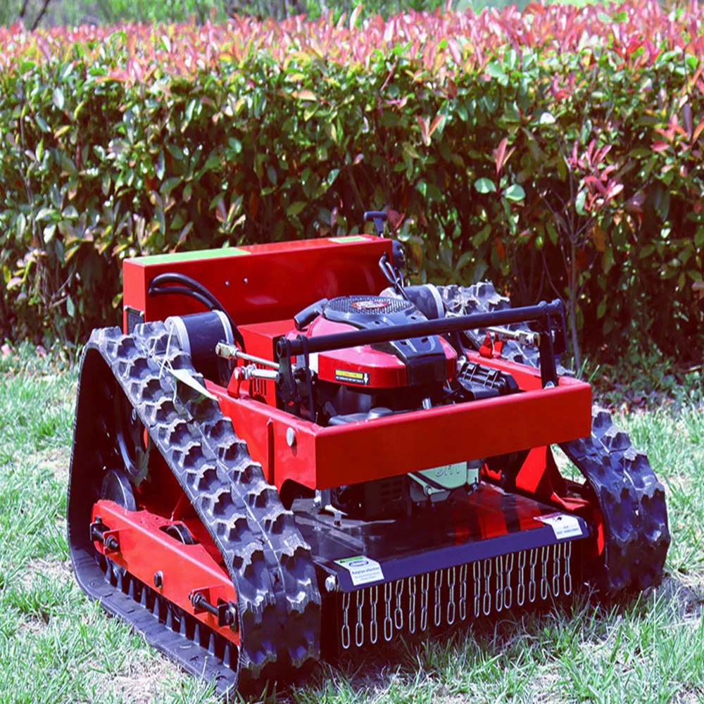 Petrol lawn mower specials sale