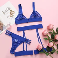 Ensemble de soutien-gorge et jarretelles en maille, kits de paupières, sous-vêtements Sissy, tenue évidée, ensemble de lingerie sexy, distribution, 3 pièces, 7.0 1