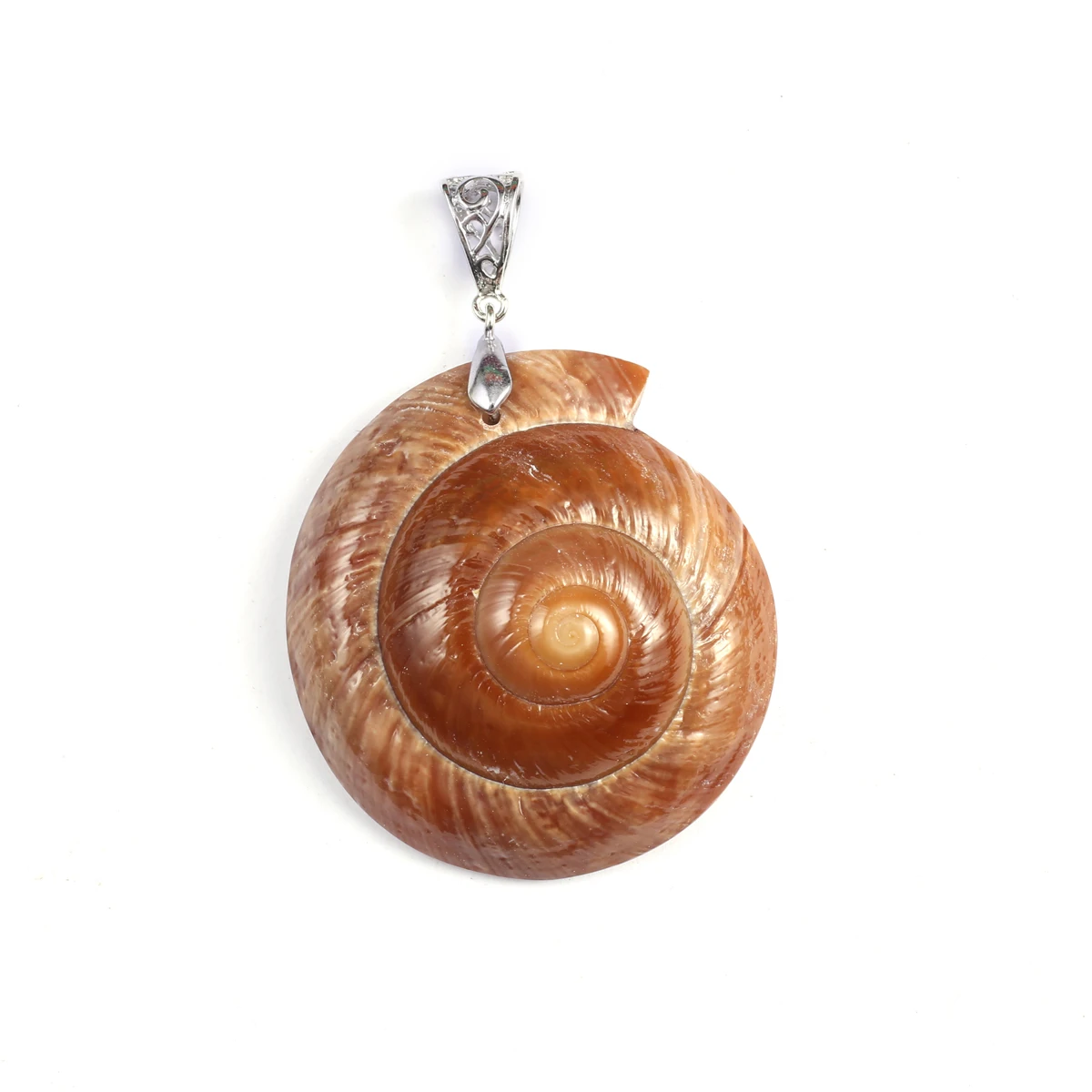 

4 PCS Wholesale Natural Shell Conch Brown Pendant Jewelry Making DIY Necklace Earrings Accessories Charming Gift