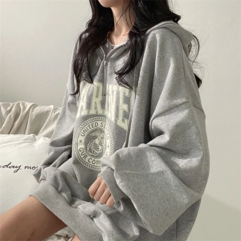 COMPASS MODE LOOSE HOODIE/ WILD HORSE BROWN main image 0