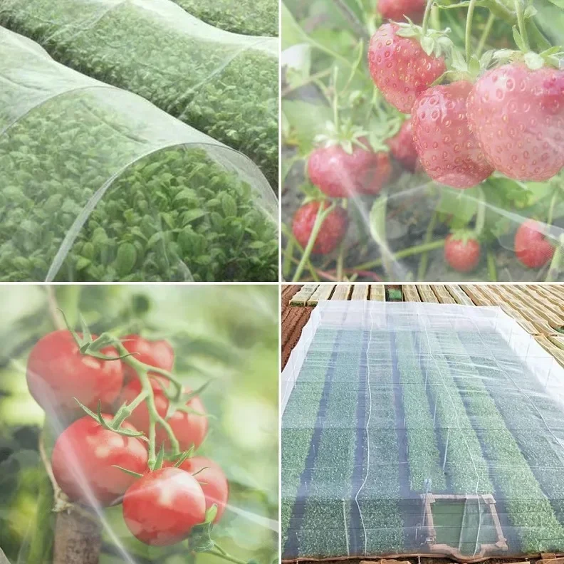Insektennetz für Gartenpflanzen, 60 Mesh-Schädlingsbekämpfungsabdeckung für Gemüse, Blumen und Obst, Vogelsicheres Schutznetz – Detail 8