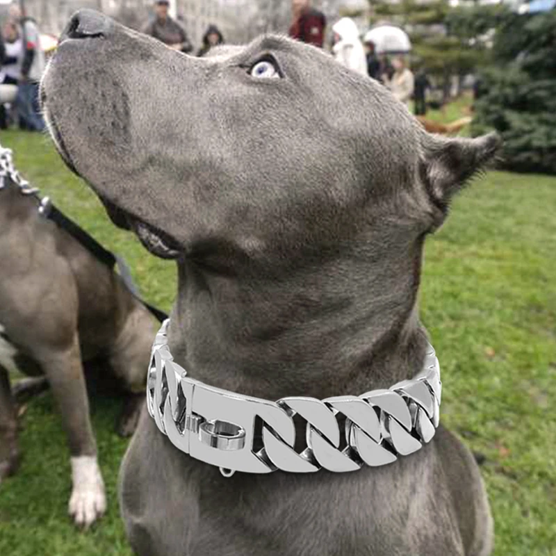  BMusdog Dog Chain Collar Collar Gold 10MM Cuban Link