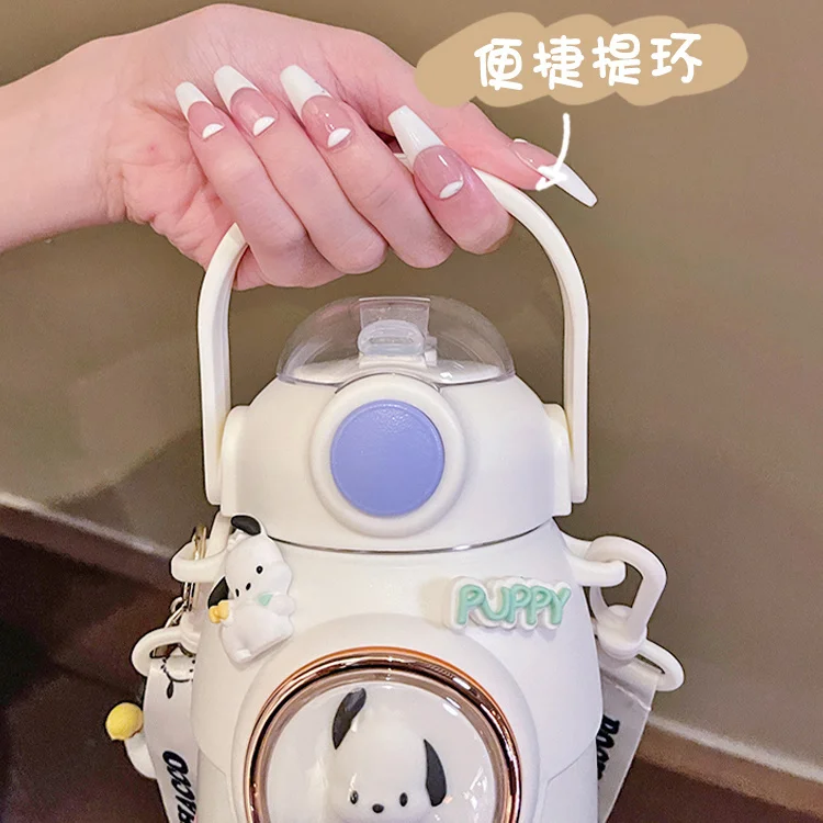 긮  ŰƼ η ƿ 316 º, Ϳ ι ó ε,   öũ  Һ, 700ml