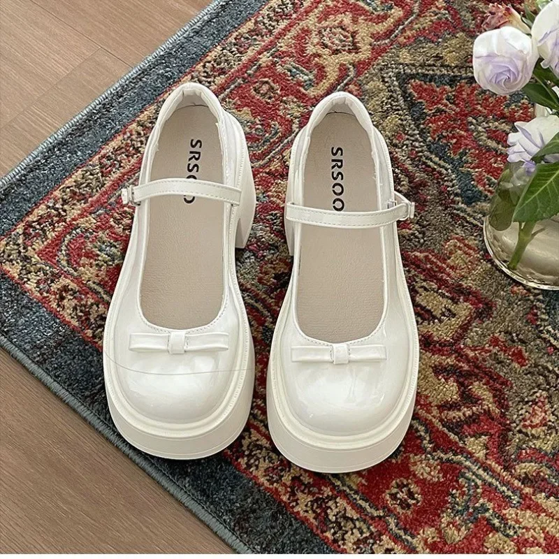 Black French Style High Heel Thick Bottom Women's Shoes 2024 New Summer Vintage Shallow Mary Jane Single Shoes Dress 4