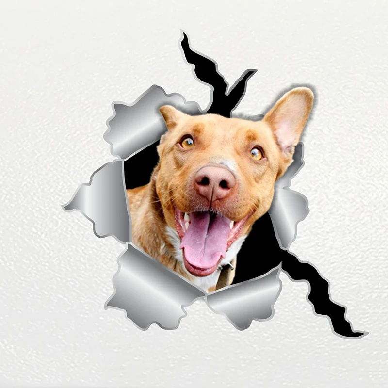 

V1132# Car Sticker PitBull Dog V3 Pet Waterproof Vinyl Decal Car Accessories Decor Pegatinas Para Coche