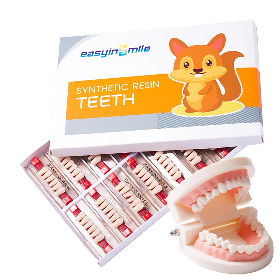 16/12 Sets/ Box Dental Denture Teeth Upper Anterior Lower Posterior Teeth acrylic A2 A3 2 layers Dental Education Model 6