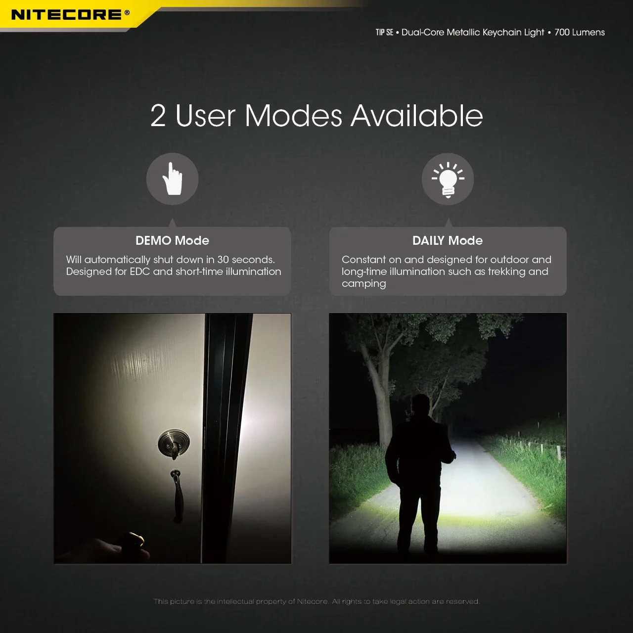 NITECORE TIP SE Keychain Light 700Lumens Dual-Core Metallic Rechargeable 4 Lighting Modes Flshlight Utilizes P8 LED Trcoh Light