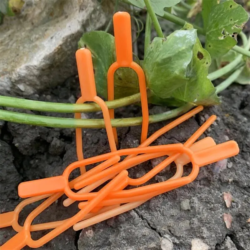 Plant Support Gardening Clip Fixed Fork Plant Clip 200 Pcs
