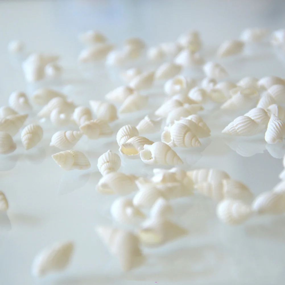 100pcs Small shell nautical wedding decorations natural shell ornaments