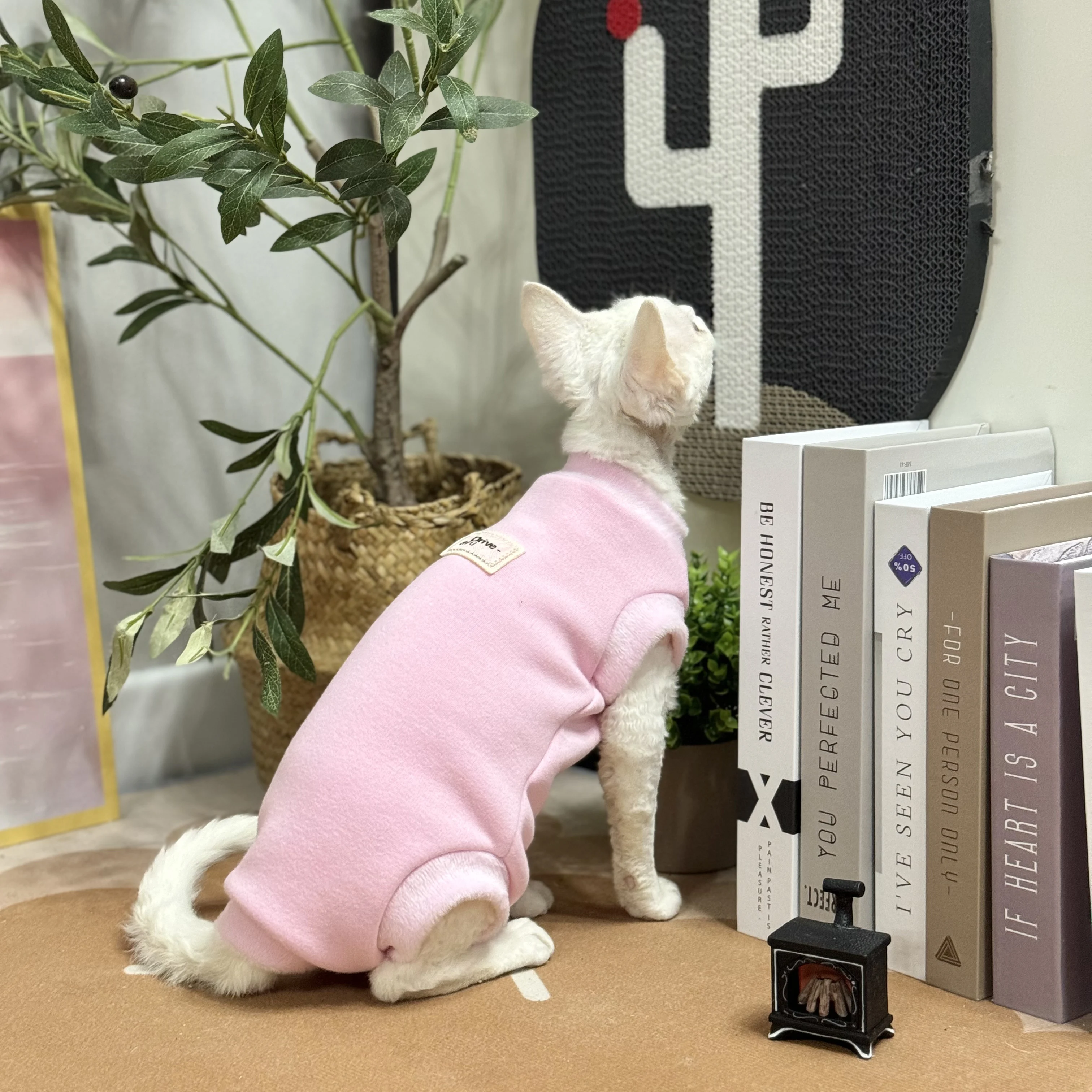 

Розовое синее хлопковое пальто для кошек Sphynx зимняя флисовая толстовка для котят теплая черная одежда для отдыха для весны одежда Devon Rex