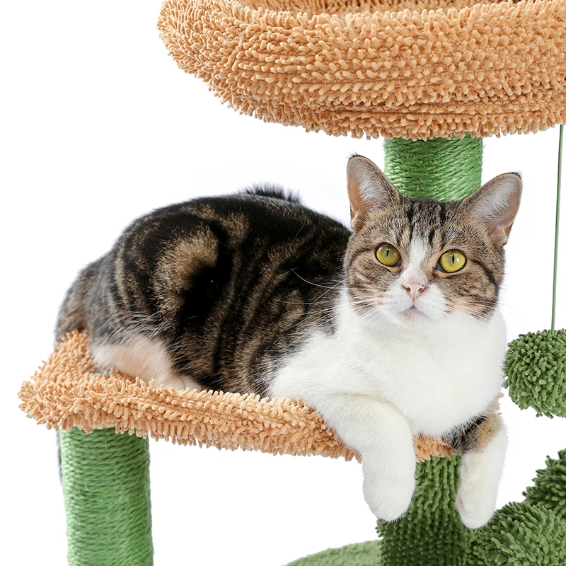 Title 8, Modern Cactus Cat Tree House Natural Scratching...