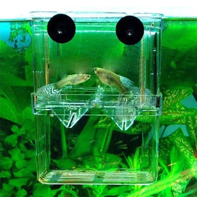 Multifu Fish Aquarium High Clear Breeding Isolation Box Pet Supplies Breeder Tank Double Guppies Hatching Incubator Pet Products 6