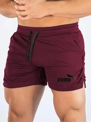 Men's Quick - Dry Mesh Sports and Casual Beach Shorts - Asian size3XL (10)