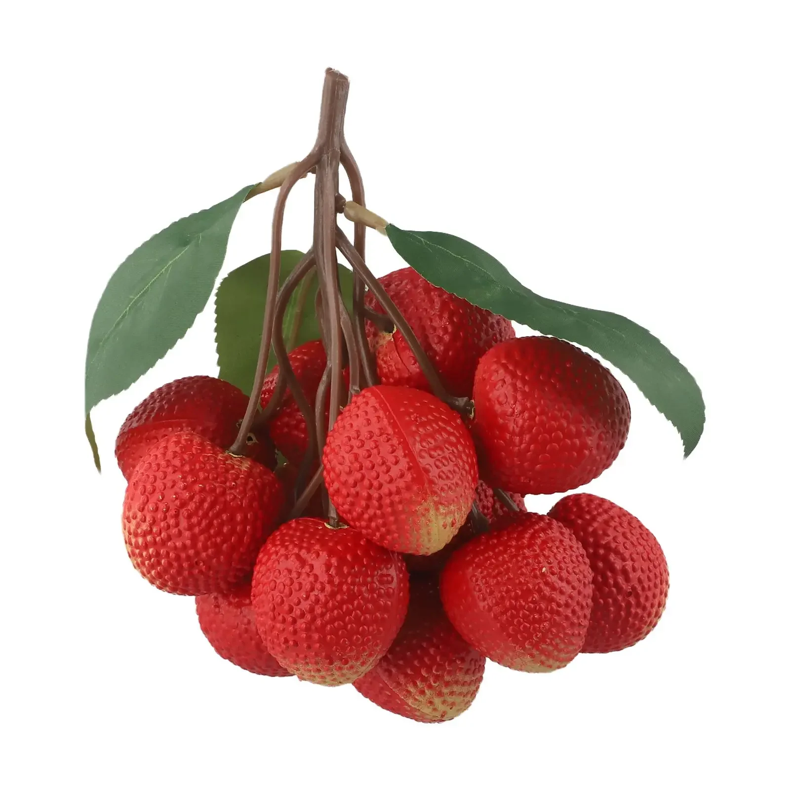 I?A?ßu I≥ ł?°? I≥, ?a§? ?, ?¶¨? ?ł£®?≤†?¶¨ ¨?, Longan ?E†? ? I≥ ?ał?†, ¨?