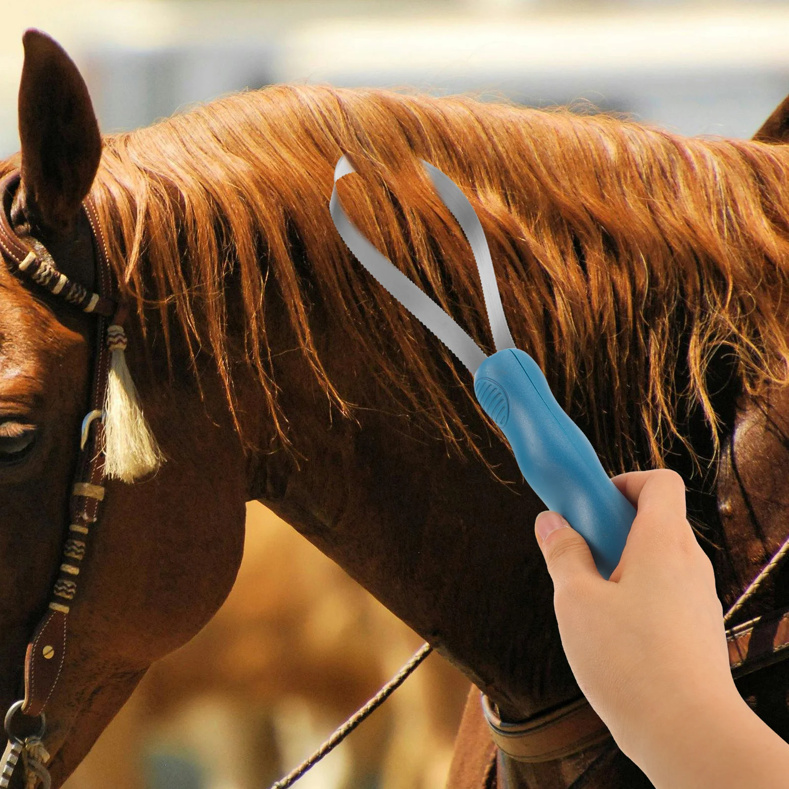 

Horse Brush Comb Cattle Grooming Livestock Hair Kit Remover Serrated Pvc Removing Bridegroom Stainless Steel Dog Shedding
