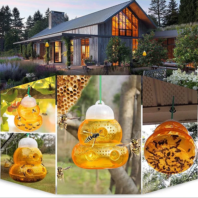 1/2Db Függő Darázs Csapdájlé Cukros, Újratölthető Üres Tartály, Hogy Elkapja A Méhes Rovargyilkos Újrahasznosítható Kürtcsapdákat - Image 5