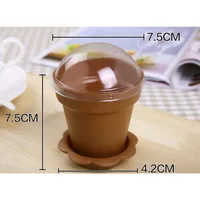 10/20/30pcs Flowerpot Cake Cups 4