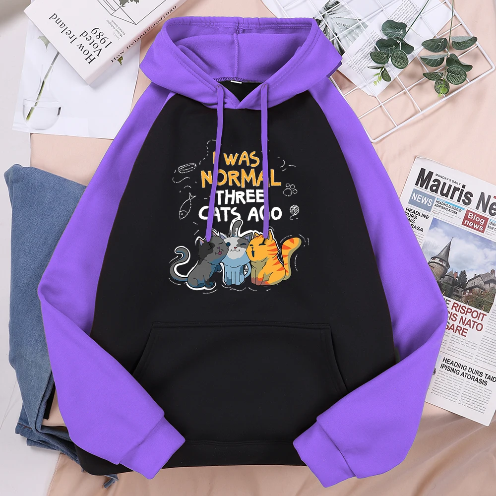Cat Cats Owner Lover I Was Normal Three Cats Ago Men Raglan Hoodie Fashion Casual Clothing Oversize Simple Sweatshirt Male Hoody