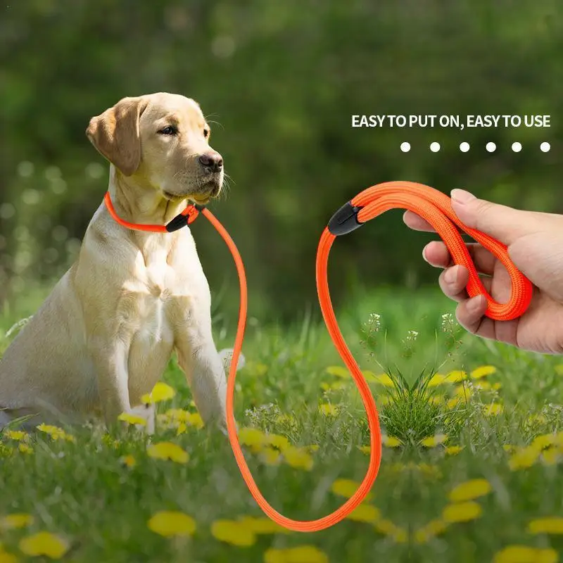 

Dog Leash Running Puppy Drag Pull Tow Pet Walking Lead Leash Pet Hiking Collar Puppy Running Rope Training Leashes For Dogs