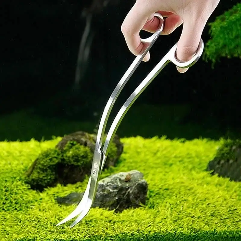 Stainless Steel Curved Aquarium Scissors Aquarium Plants Trimming Tool Fish  Tank Cleaner Accessories Water Grass Pruning Tools - AliExpress