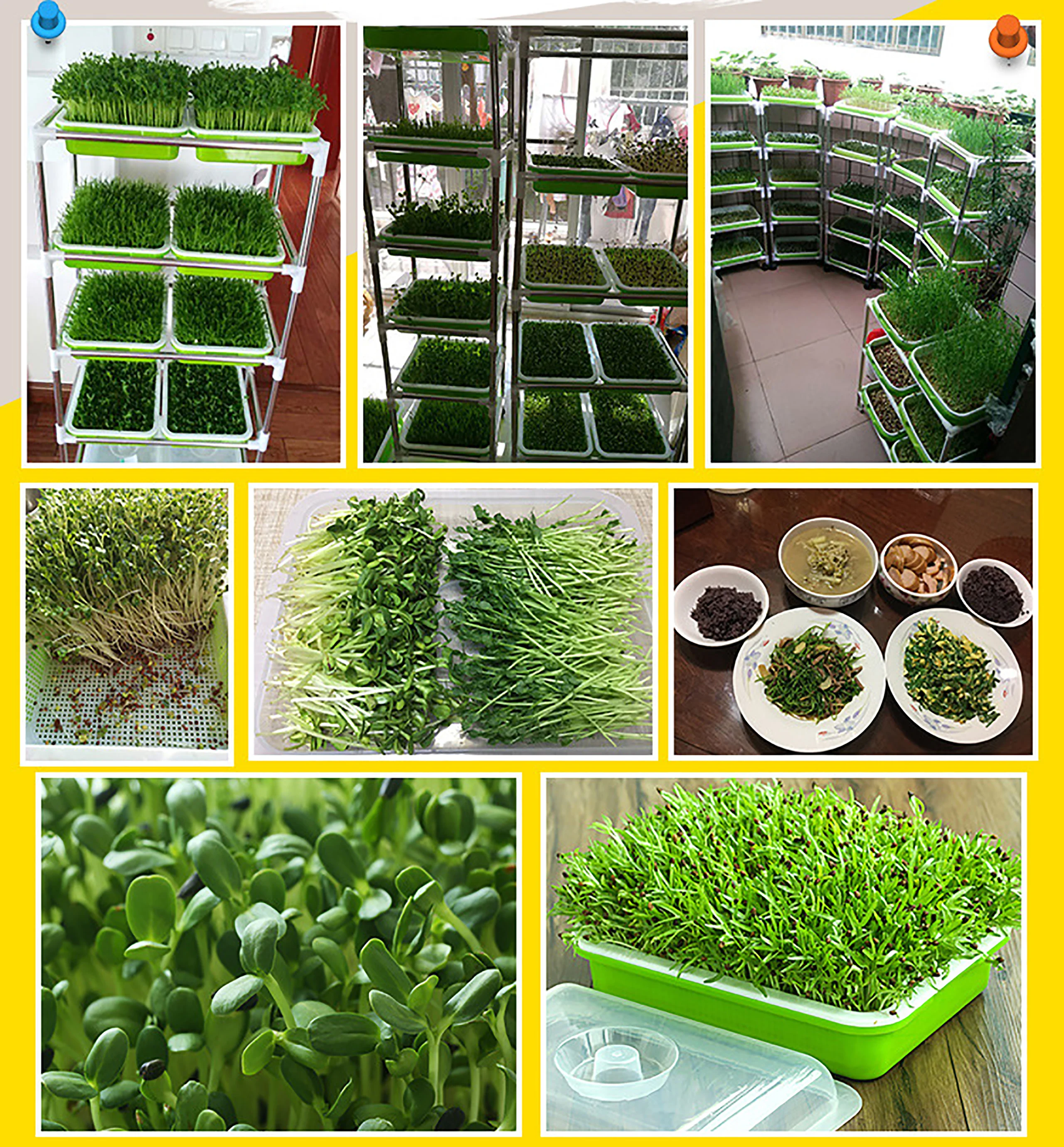 Hydroponic Seedling Green Tray For Sprouts Soil-Free Planting Box Gardening Supplies Horticultural Hydroponic System Tool 1Set hydroponic germination tray
