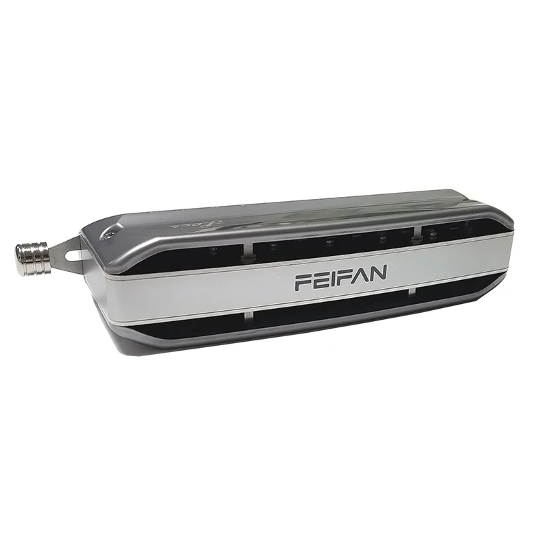 Feifan Chromatic Harmonica Le-v48 Armonica Professional Mouth Organ 12 Holes Harp Outdoor Instrumentos Musicales Alloy Comb