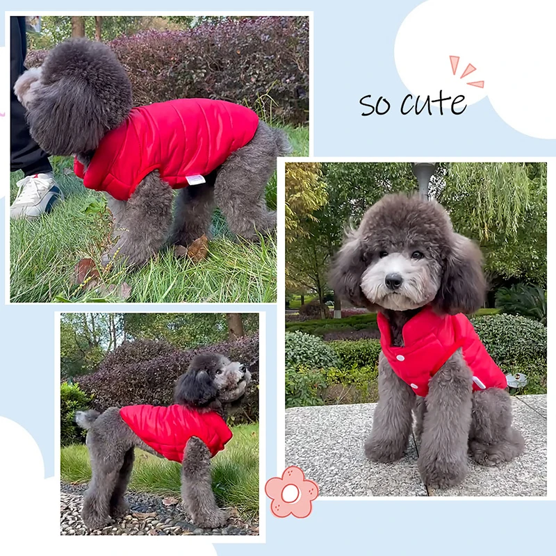 Double Sided Dog Coat for Small Medium Dogs, pet jacket