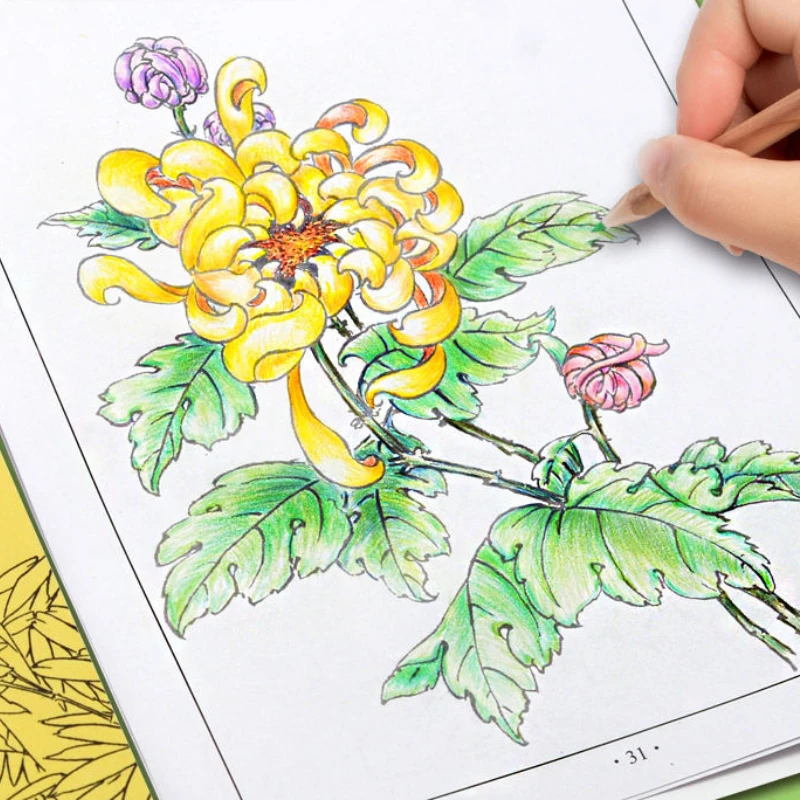 

Child Beginner Copy Coloring Books Chinese Painting Baimiao Line Drawing Manuscript Plum Orchid Bamboo Chrysanthemum Line Drafts