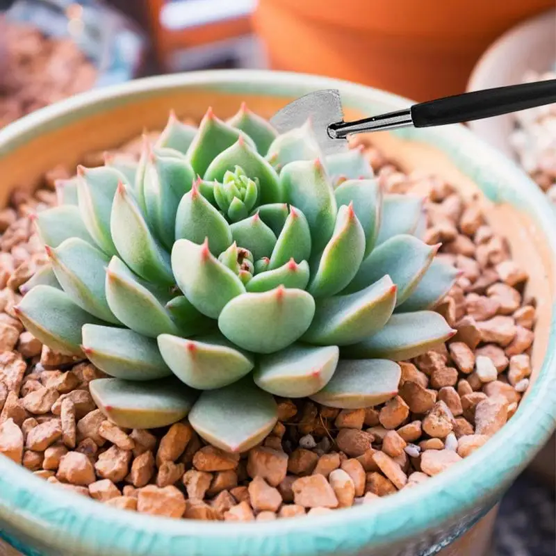 Terrarium Tools Mini Garden Tools Succulent Watering Bottle As Plant Accessories Succulent Gardening Hand Kit 16pcs mini garden tools