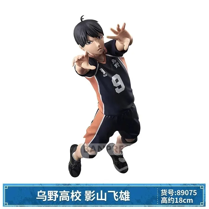 Secf9d038c6594c10ba738c8205824817g - Haikyuu Store