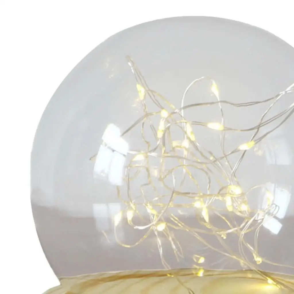 Glass Dome Cloche Bell Clear with Wood Base Display Case Mini for Plants