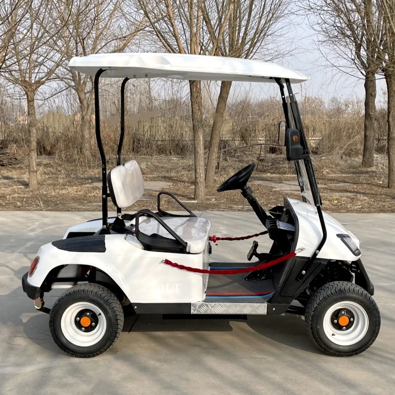 

Made In China Luxury Club Car 2 Seater Low Speed Car 4 Wheel 60V Electric Street Legal Golf Cart For Sale