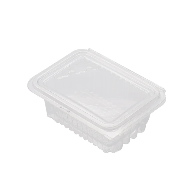 10Pcs Food Grade Plastic Honeycomb Square Box