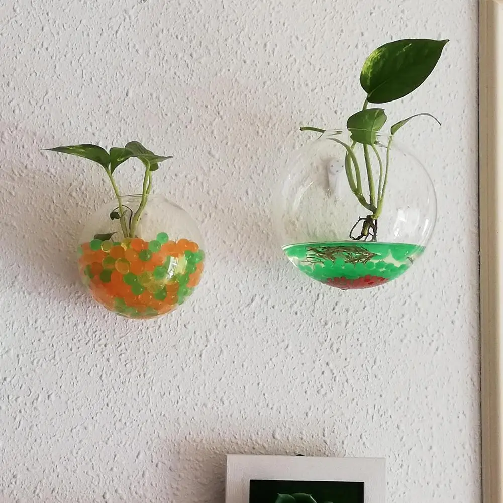 Wall-Mounted Glass Vase, Wall Hanging Hydroponic Glass Flowerpot, Transparent Half Globe Shape Plant Container, Fish Tank