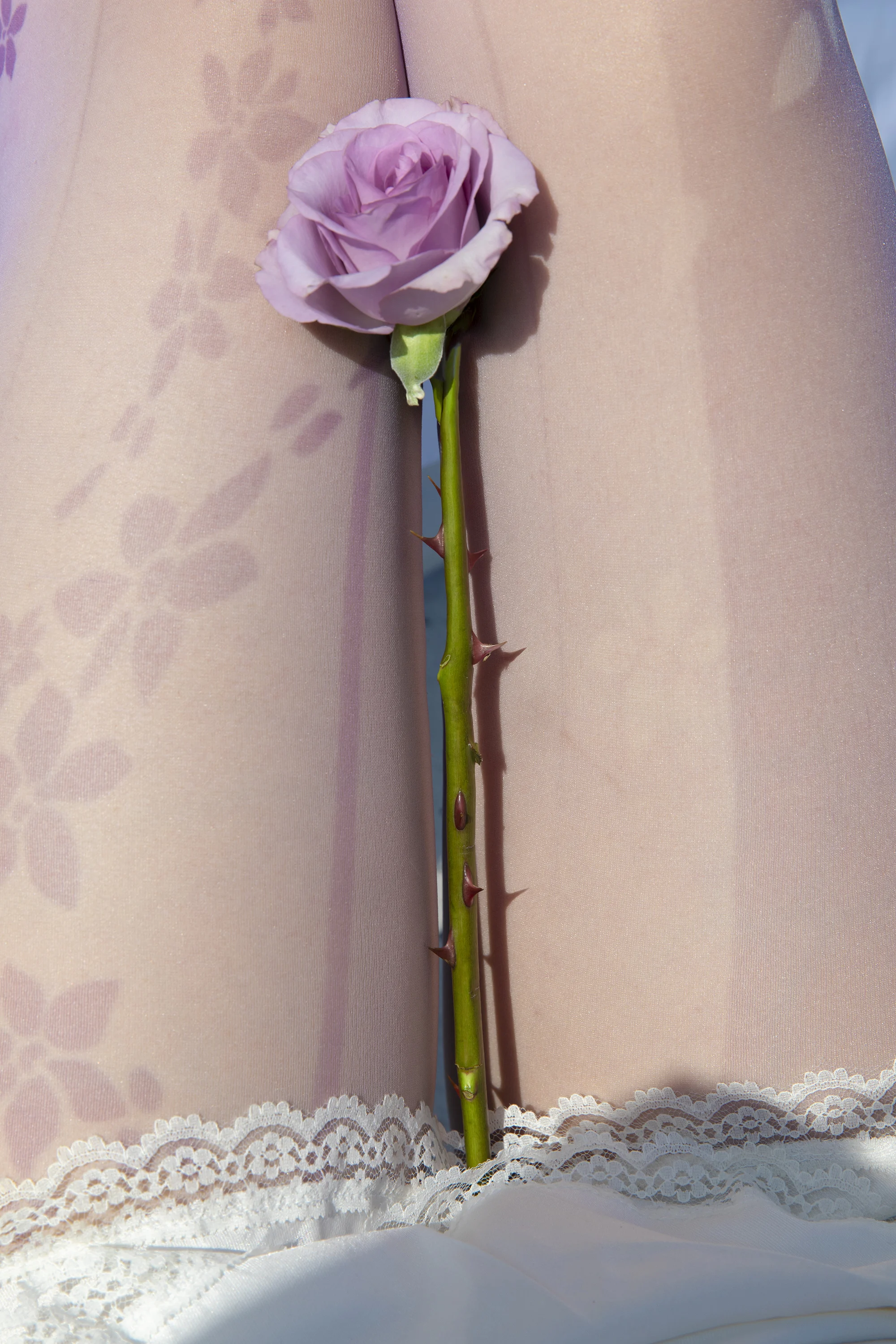 Petal Stockings Millennium Style Retro Slimming Thin Pantyhose Summer