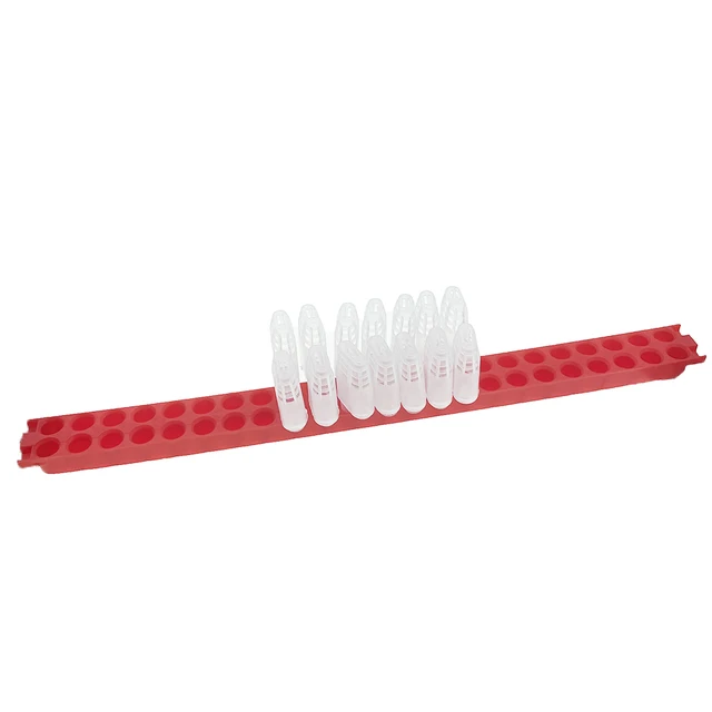 Új Dizájn Méhészet 20 Darabos Queen Méh Ketrec 1Db -Vel Történő Szállítás Utáni Műanyag Bár Szalaggal Tenyésztő Foglyok Szerszámok Felszerelés - Image 3