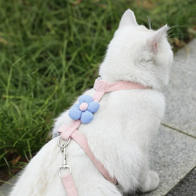 Cat Harness and Leash Sets Adjustable Dog Harness for Small Dog Leash Breashable Pet Harness Out Walking Dog Strap 2