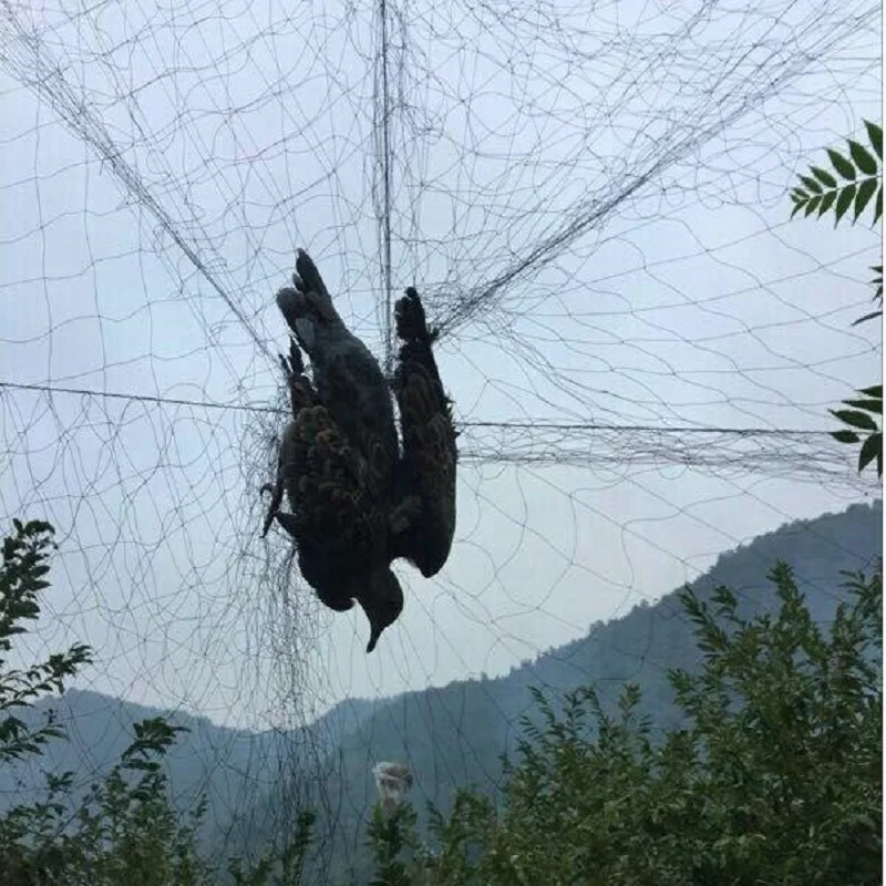Nylon Garden Bird Net Pond Crops Fruit Tree Vegetables Protection Anti Bird Gardening Pest Control Netting 4/6/8/15/20m bird net