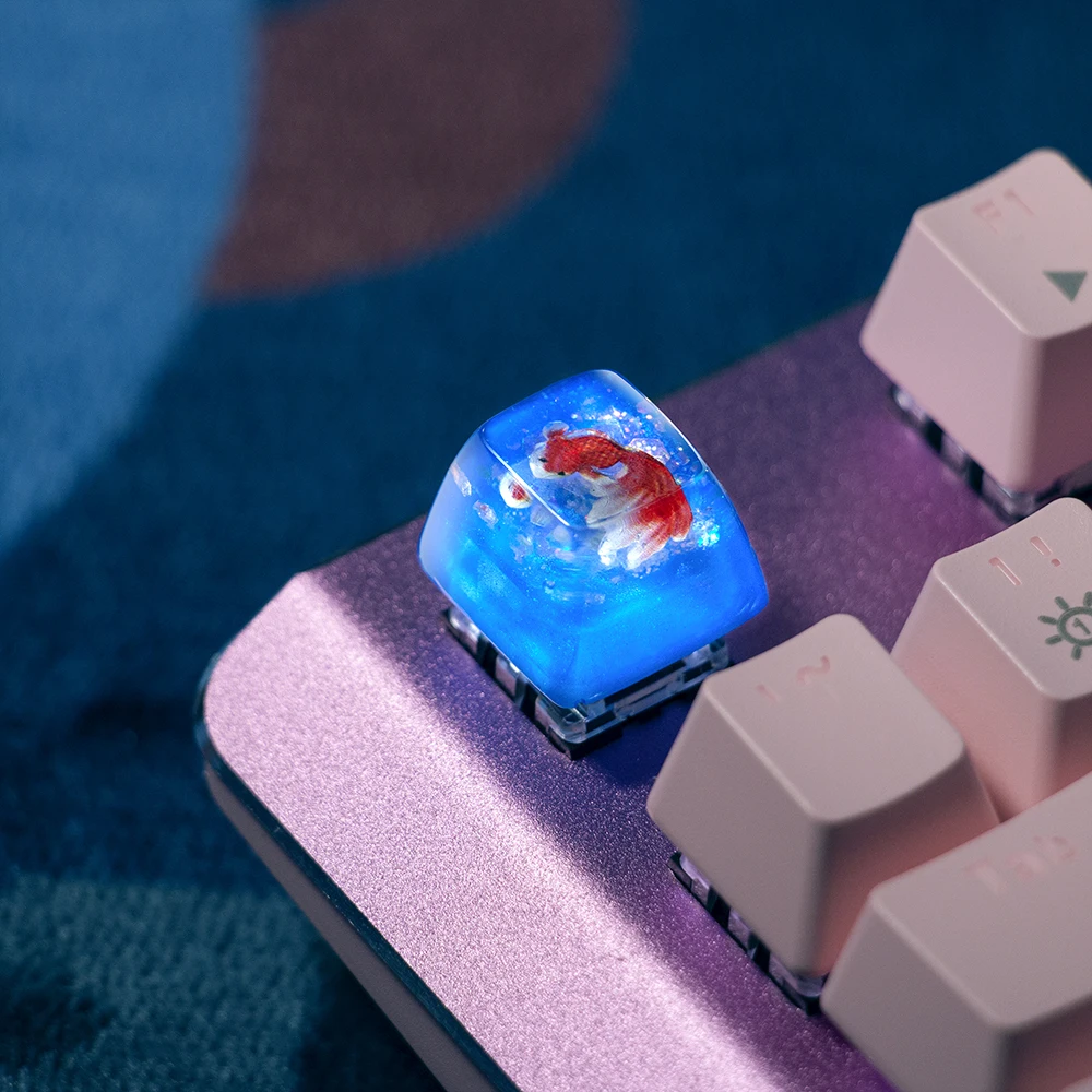 

OEM R4 ESC Resin Keycaps Blue Backlit Good Lucky Customize Cross Axis Switch Wired Wireless Mechanical Gaming Keyboard Key Cover