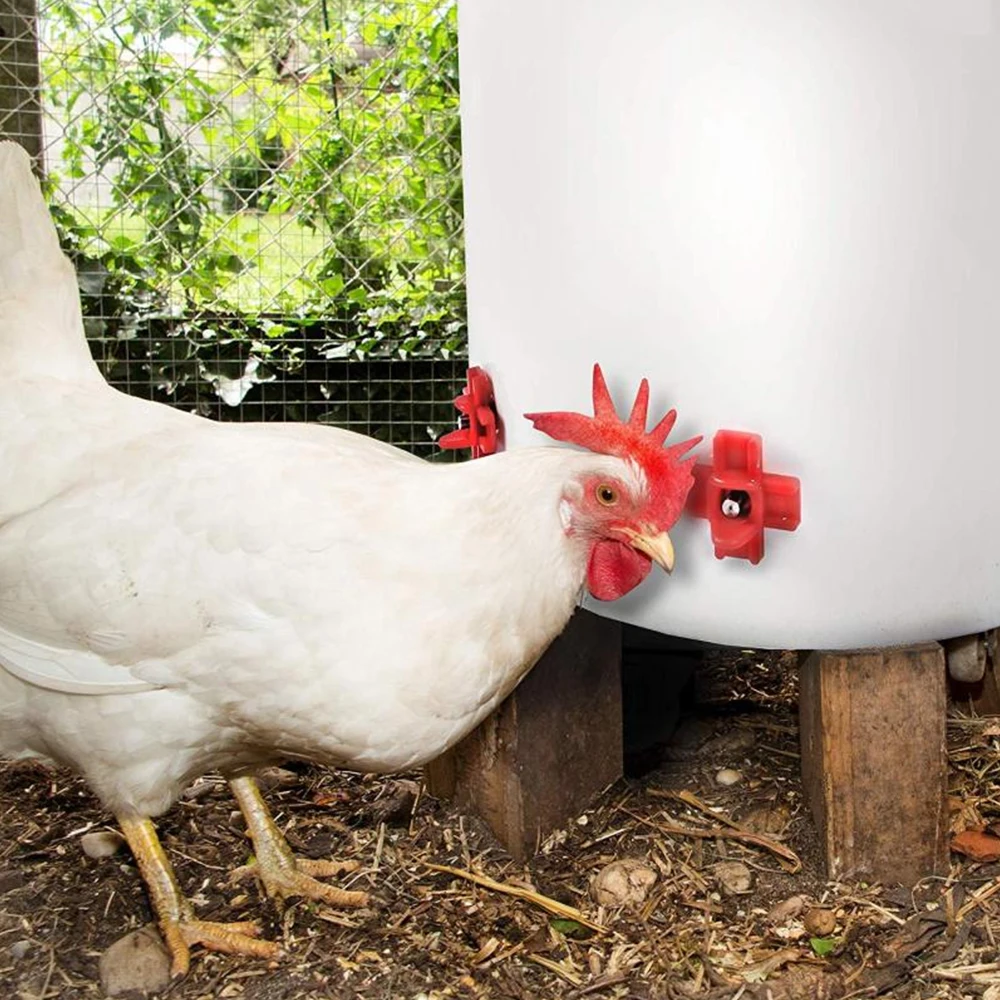 Automatic Chicken Waterer Red Plastic Stainless Steel Drinker