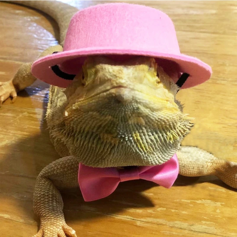 Traction Rope Hat Bow Tie Soft Leather Bearded Dragon Harness Leash Halloween Costume Clothes 87HA