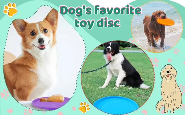 6PCS/Set Dog Flying Disc Silicone Game Toy for Dog Activity Games Dogs  Training Interactive Toys Flying Saucer Resistant Chew - AliExpress