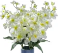 Ivory white
