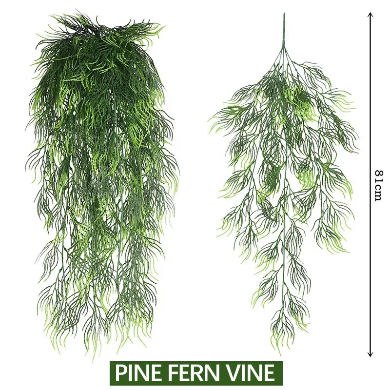 pine fern vine