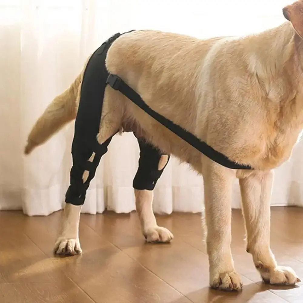 Dog leg support brace image 4