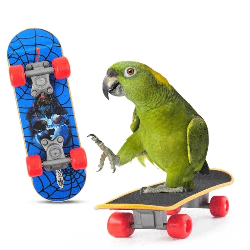 Bird Toy Canary Skateboard Parrot Training Skateboard Bird Supplies Skates Lovebird Canaries Perch for Parrots For Birds Toy Acc parrot toy bird toy