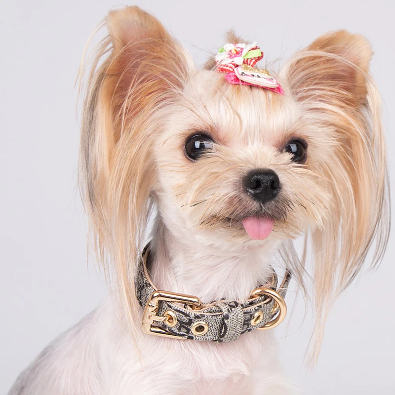 14 Luxury Dog Collars By High-End Brands That Might Surprise You