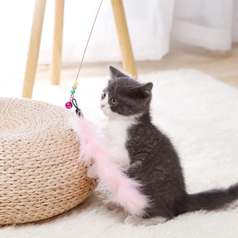 Interactive Cat Feather Toy 1