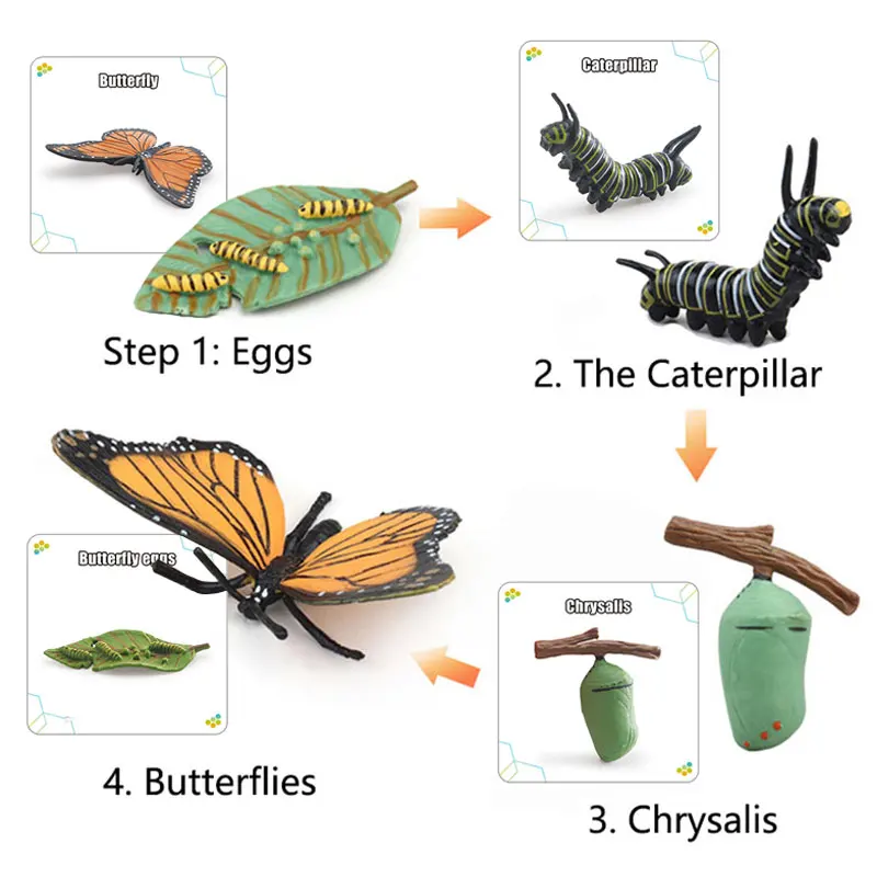 Educational Toy Model Set for Kids Plastic Insect Plant Growth Cycle